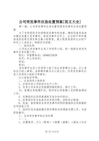 公司突发事件应急预案[范文大全]