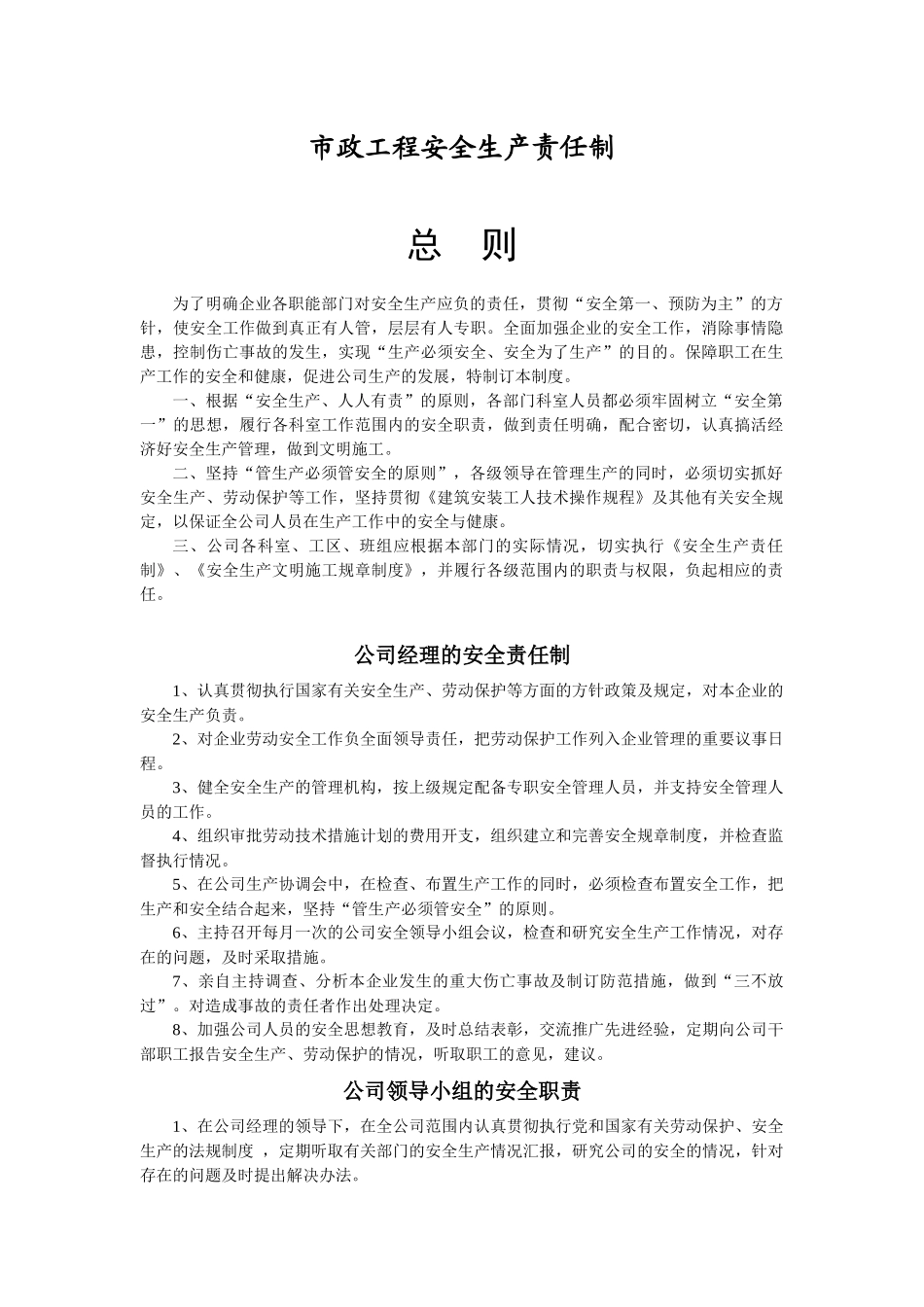 市政工程安全生产责任制(新)_第1页