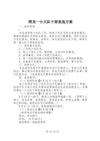 湾龙一小大队干部竞选实施方案