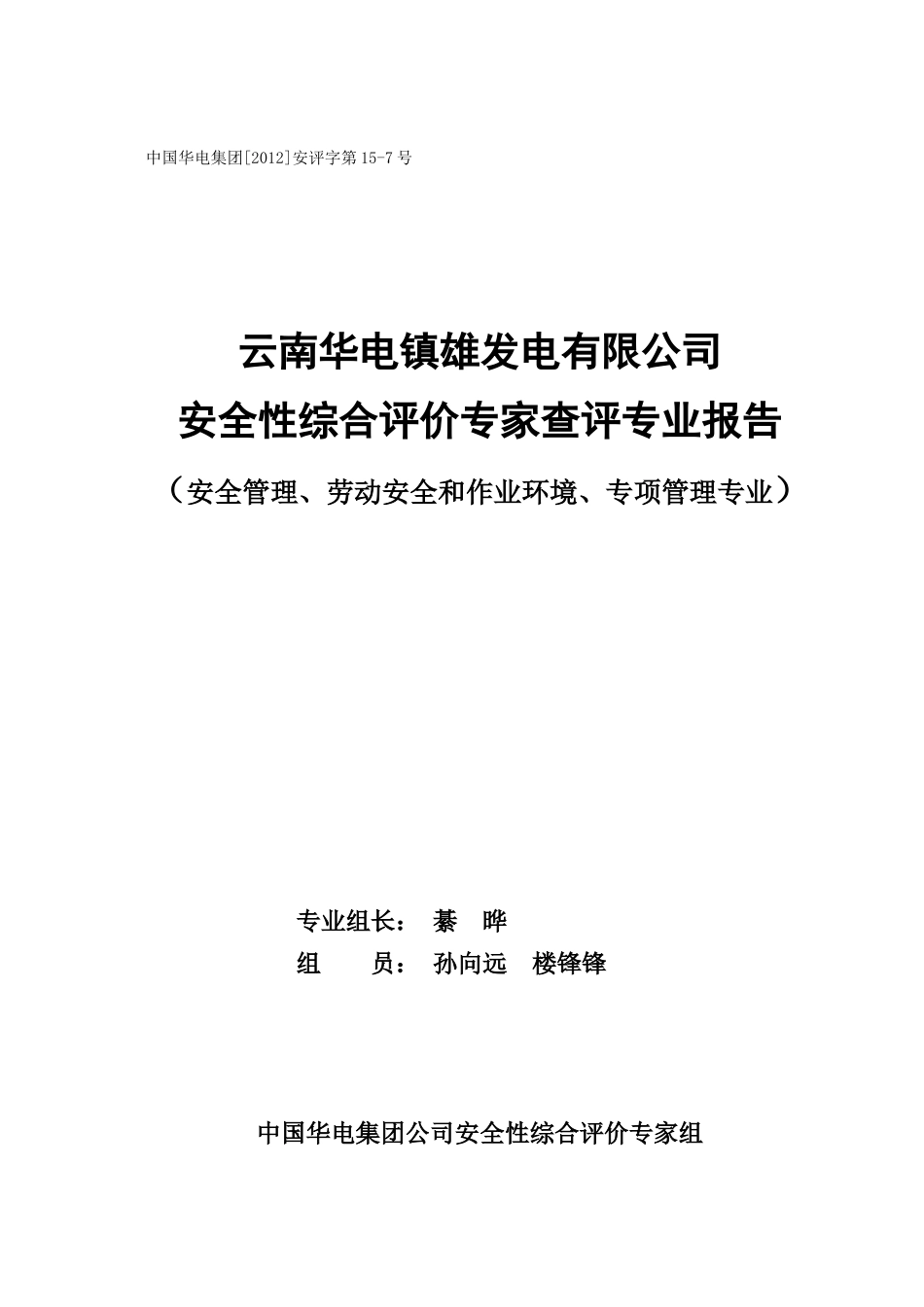 镇雄发电公司安全查评报告_第1页