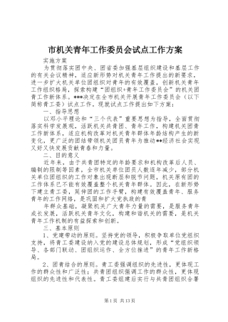 市机关青年工作委员会试点工作实施方案