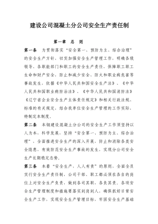 混凝土分公司安全生产责任制终结版后续