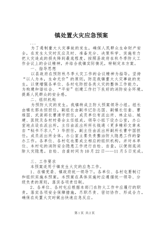 镇火灾应急预案
