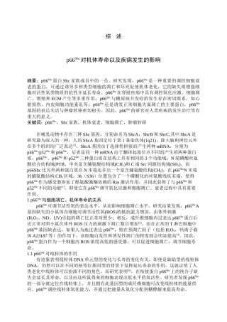 p66Shc对机体寿命以及疾病发生的影响