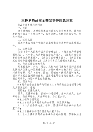 王桥乡药品安全突发事件应急处置预案