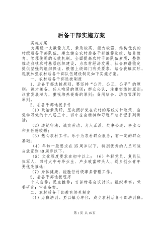 后备干部方案