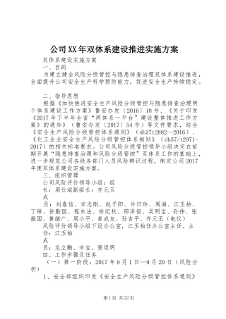 公司XX年双体系建设推进方案
