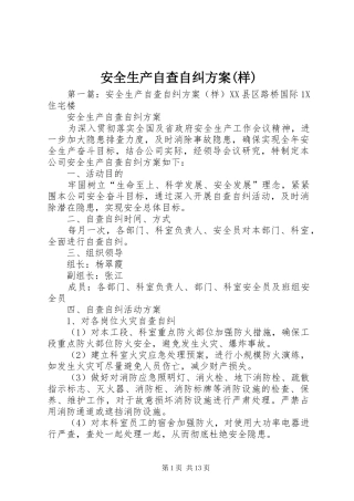 安全生产自查自纠实施方案(样)