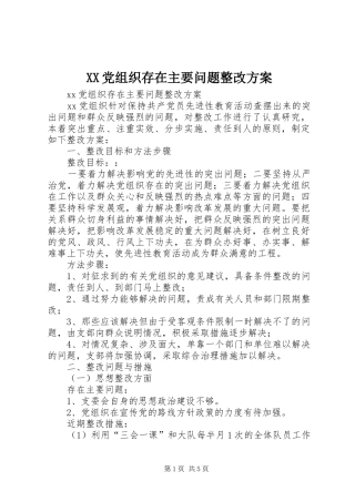 XX党组织存在主要问题整改实施方案