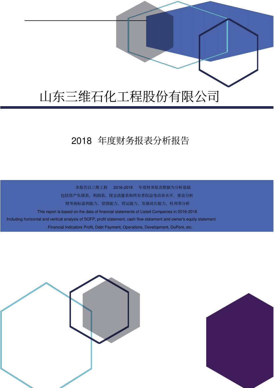 山东三维石化工程股份有限公司2018年度财务报表分析报告_第1页