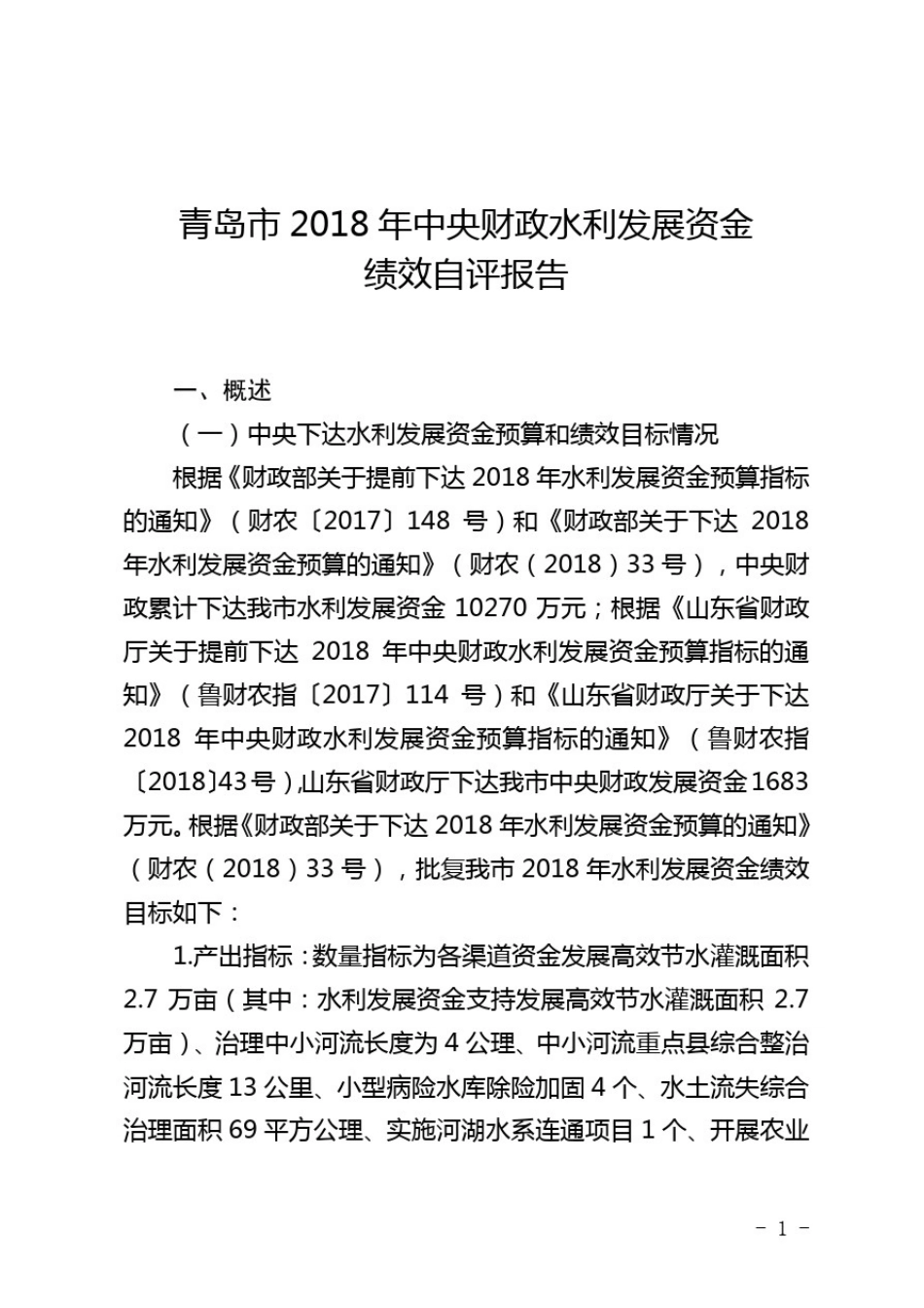 中央财政水利发展资金绩效自评报告模板_第1页