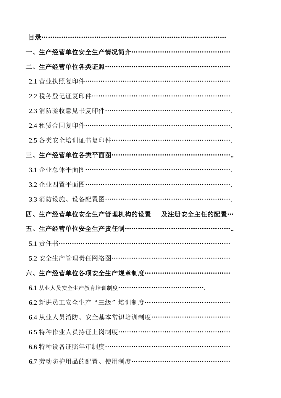 某皮具有限公司安全生产管理档案_第2页