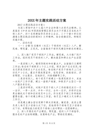 XX年主题实践活动实施方案 ()