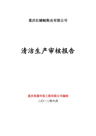 重庆红蜻蜓鞋业清洁生产审核报告