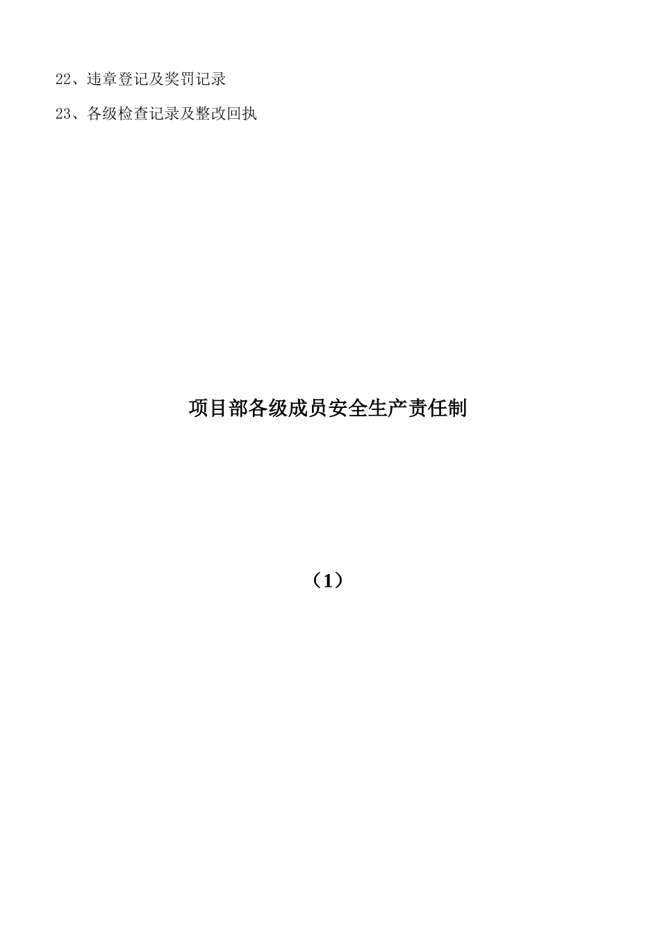 安全管理资料一改_第3页