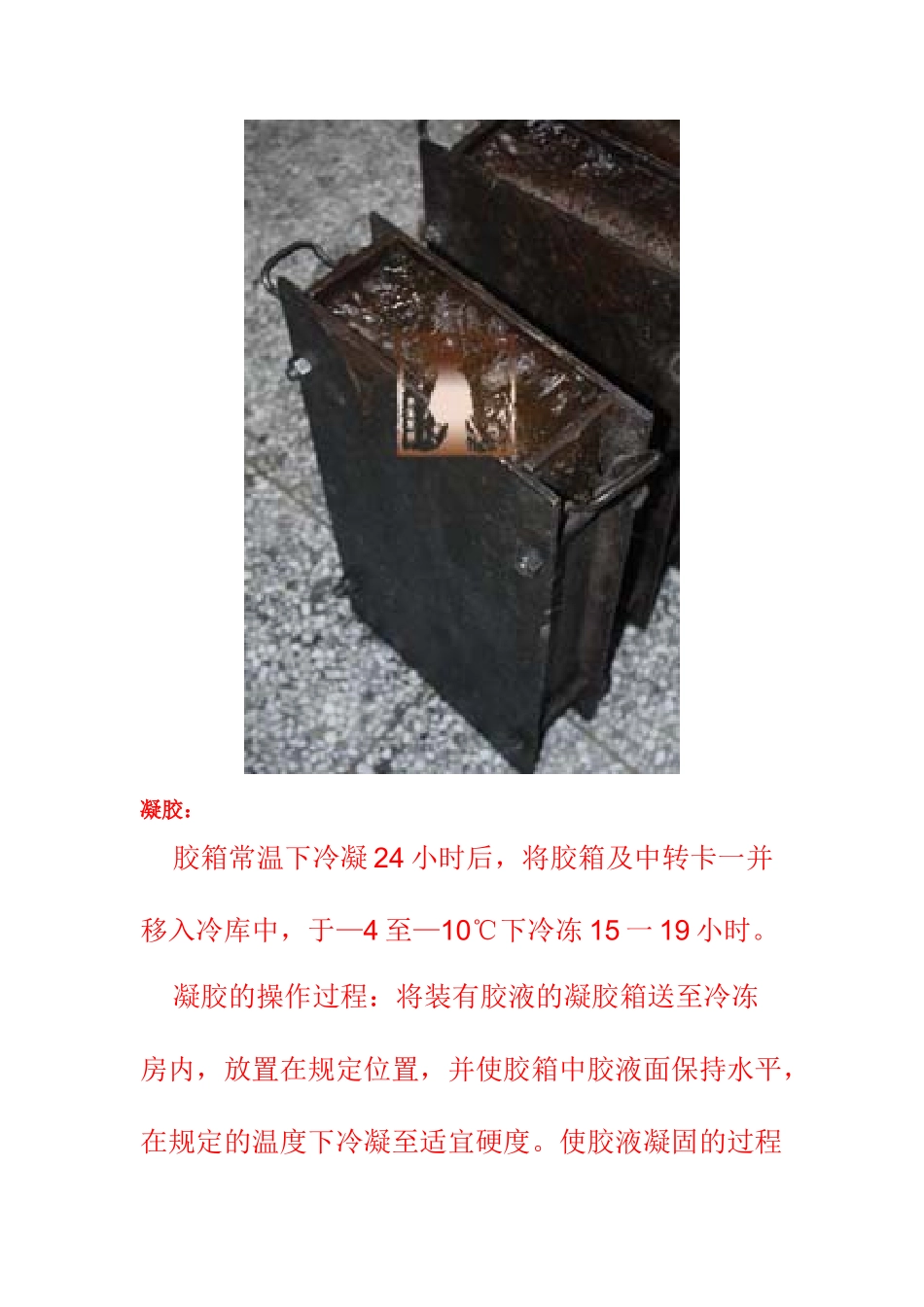 东阿百年堂阿胶块生产线——3_第3页