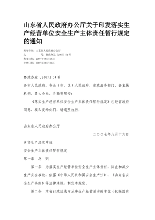 落实生产经营单位安全生产主体责任暂行规定( 13)
