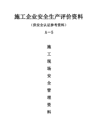 施工企业安全生产条件资料5(完成)
