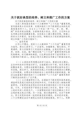 关于抓好典型的培养、树立和推广工作的实施方案
