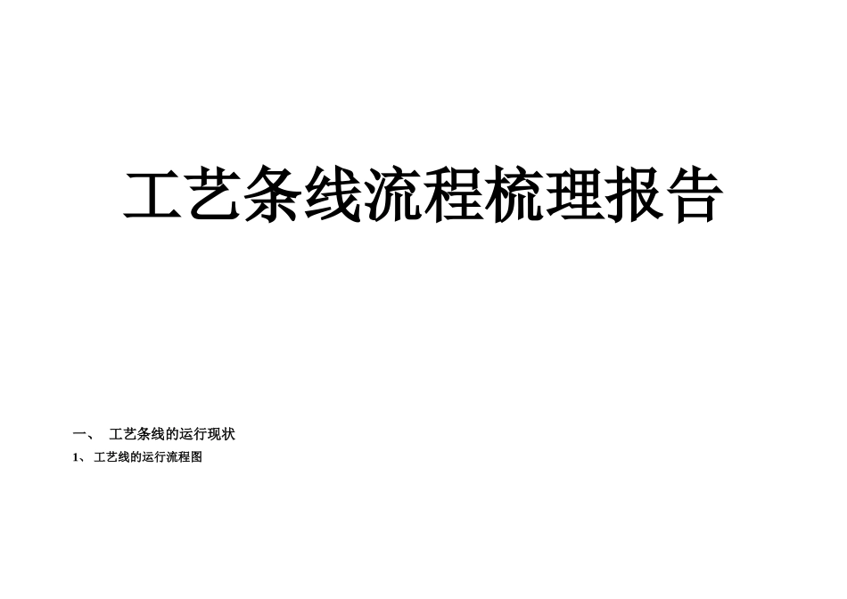 工艺流程梳理报告_第1页