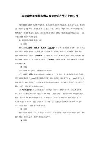 果树常用的嫁接技术与高接栽培在生产上的应用