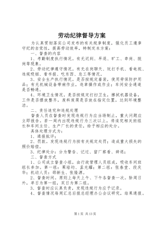 劳动纪律督导实施方案