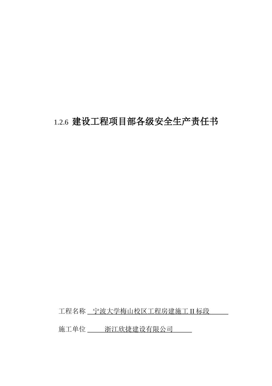 建设工程项目部各级安全生产责任书(37页)_第1页