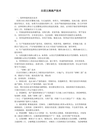 白羽王鸽高产养殖技术