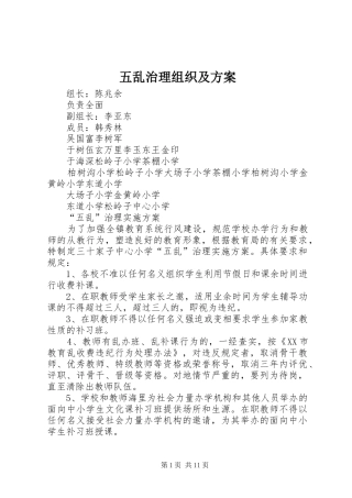 五乱治理组织及实施方案