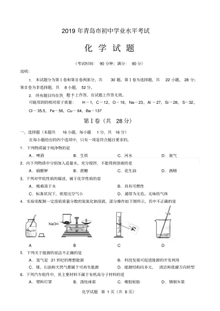 山东青岛市2019初中学业水平考试化学试题(含答案)