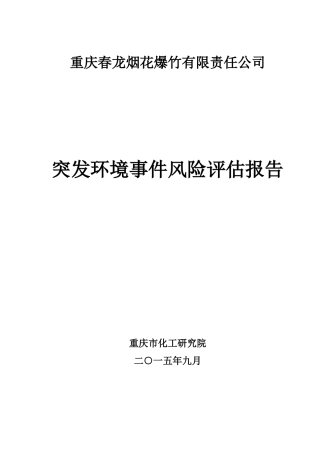 春龙风险评估报告(报批版)