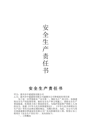 安全生产责任书(5页)