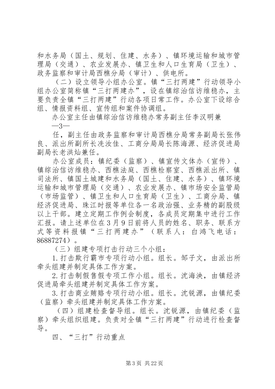 “三打两建”行动总体实施方案)_第3页