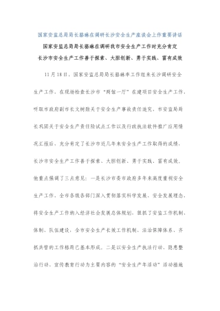 国家安监总局局长骆琳在调研长沙安全生产座谈会上作重要讲话