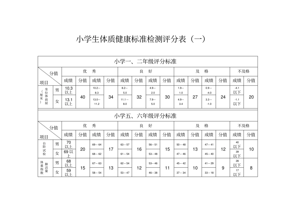 小学生体质健康标准检测评分表_第2页