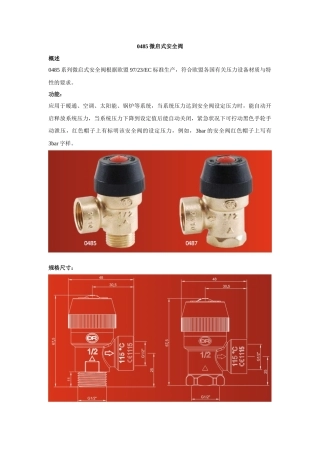 安全阀资料汇总 得汛推荐必属精品