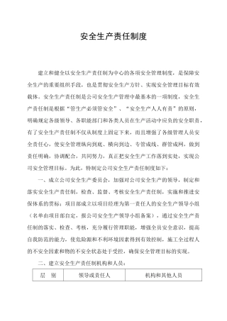 安全生产责任制度范本( 63页)