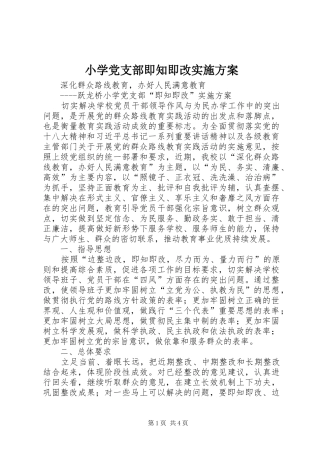 小学党支部即知即改方案