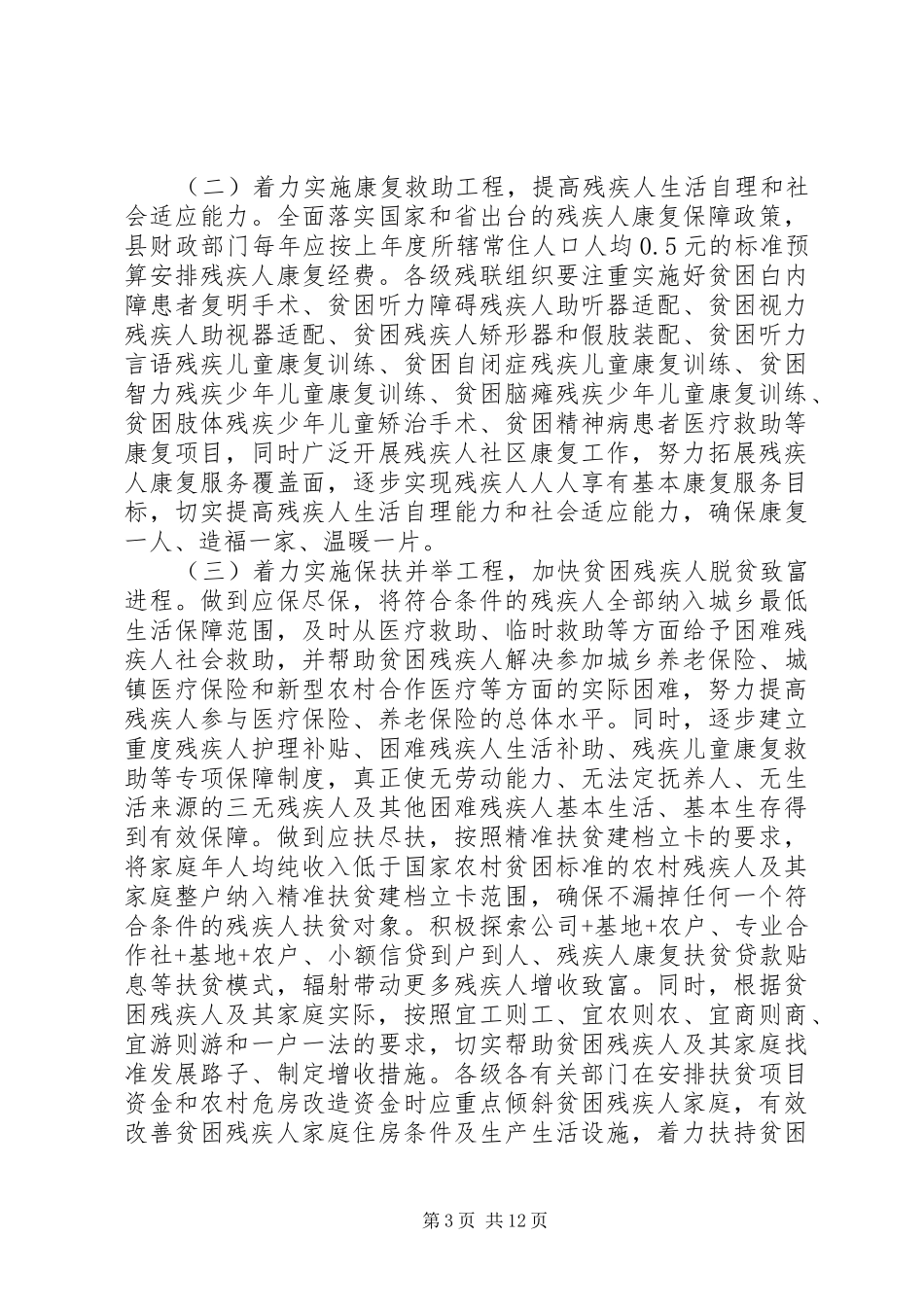 残疾人扶贫方案_第3页