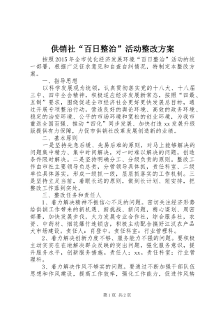 供销社“百日整治”活动整改实施方案
