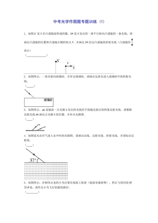 初中物理中考光学作图题专题训练(1)(含答案解析)
