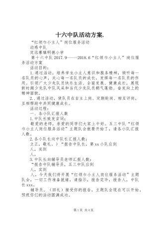 十六中队活动实施方案.