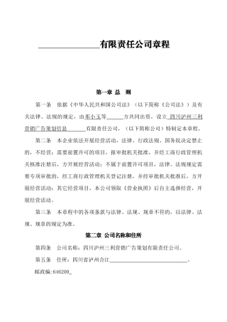 有限责任公司章程1