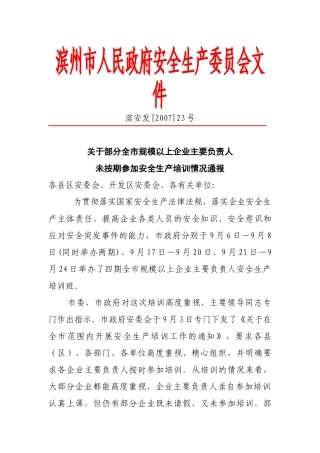 滨州市人民政府安全生产委员会文件