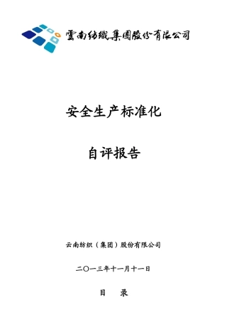 某股份公司安全生产标准化自评报告