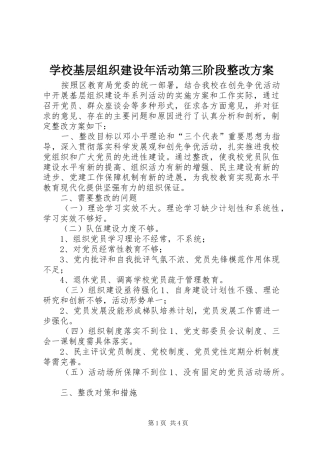 学校基层组织建设年活动第三阶段整改实施方案