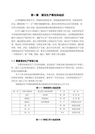 清洁生产报告