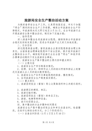 旅游局安全生产整治活动实施方案