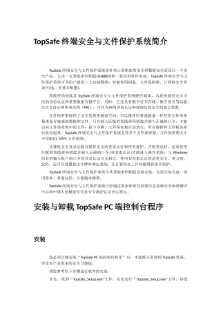 Topsafe帮助文档下载-TopSafe终端安全与文件