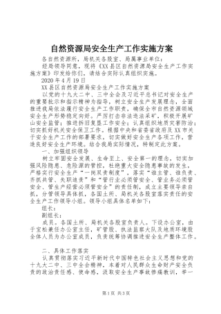 自然资源局安全生产工作方案